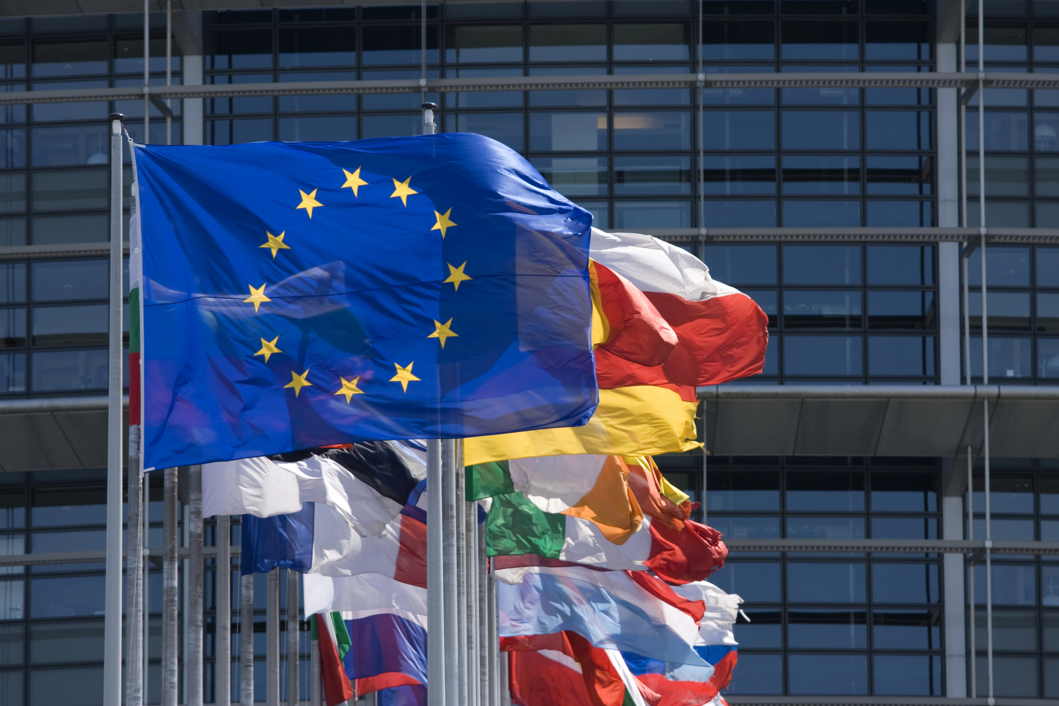 Международный европейский центр. Европейский Союз (Евросоюз, ЕС). Европейский Союз 1993. Европейский Союз Международная организация. Европейская интеграция и Европейский Союз.